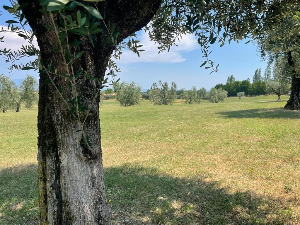 Garda Golf Country Chic Home Soiano Del Lago Zewnętrze zdjęcie